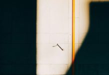 Zašto bi osobe starije od 50 godina trebale …