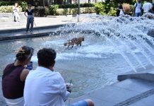 Pred nama je veoma naporno leto: Najnovija prognoza najavljuje situaciju kakva u Srbiji još nije zabeležena.