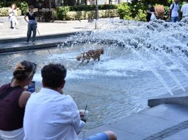 Pred nama je veoma naporno leto: Najnovija prognoza najavljuje situaciju kakva u Srbiji još nije zabeležena.