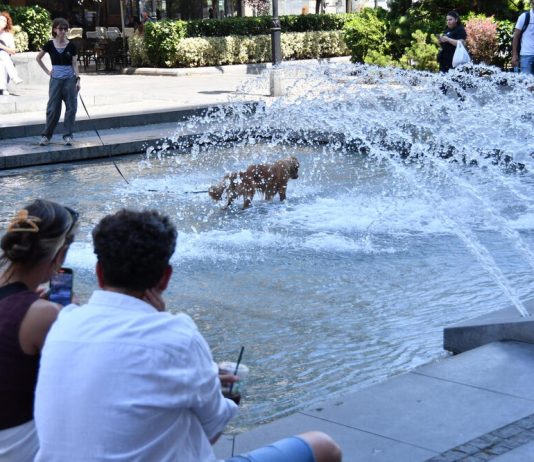 Pred nama je veoma naporno leto: Najnovija prognoza najavljuje situaciju kakva u Srbiji još nije zabeležena.