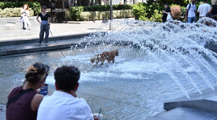 Pred nama je veoma naporno leto: Najnovija prognoza najavljuje situaciju kakva u Srbiji još nije zabeležena.