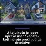U koju kuću je lopov upravo ušao? Zadatak koji moraju proći ljudi za detektive