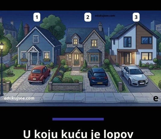 U koju kuću je lopov upravo ušao? Zadatak koji moraju proći ljudi za detektive