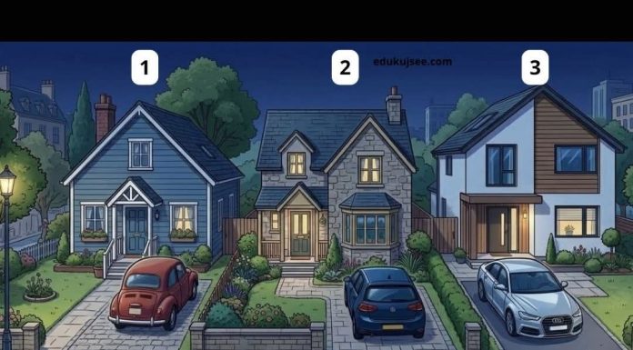 U koju kuću je lopov upravo ušao? Zadatak koji moraju proći ljudi za detektive