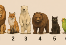 Izaberite životinju i otkrijte šta ljudi zaista misle kada se spomene vaše ime.