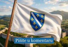 BURNA REAKCIJA IZ BIH: Karamatić traži zabranu “ljiljana” na SP-u – Kako vi gledate na ovo?