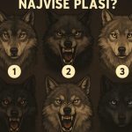 Vuk koji vas najviše privuče može otkriti kako se ponašate u stresnim situacijama