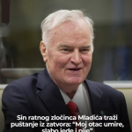 Darko Mladić, sin presuđenog ratnog zločinca Ratka Mladića, izjavio je da će danas podnijeti zahtjev za privremeno puštanje njegovog oca