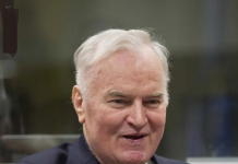 Darko Mladić, sin presuđenog ratnog zločinca Ratka Mladića, izjavio je da će danas podnijeti zahtjev za privremeno puštanje njegovog oca