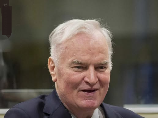 Darko Mladić, sin presuđenog ratnog zločinca Ratka Mladića, izjavio je da će danas podnijeti zahtjev za privremeno puštanje njegovog oca