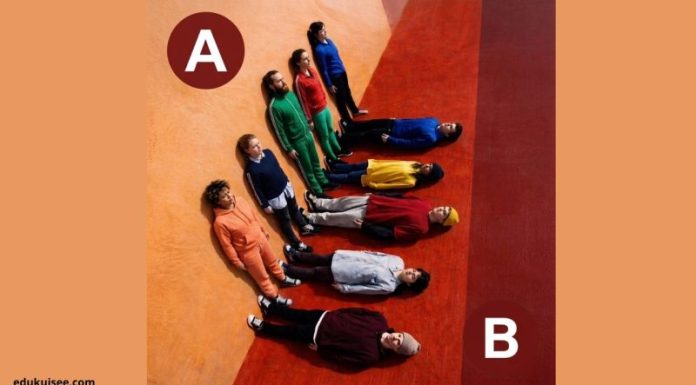 Test percepcije: Koja grupa u stvari miruje?