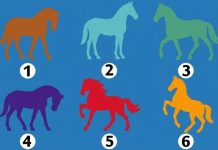 Jedan konj otkriva tvoju skrivenu snagu — saznaj šta ljudi prvo primijete na tebi.