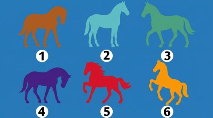 Jedan konj otkriva tvoju skrivenu snagu — saznaj šta ljudi prvo primijete na tebi.