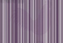 Samo mali broj ljudi uspije riješiti ovaj izazov: Koja se životinja krije na slici?