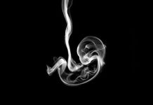 Test koji uvijek pogađa: Ono što prvo primijetite na slici otkriva kakvi ste zapravo