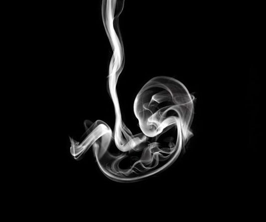 Test koji uvijek pogađa: Ono što prvo primijetite na slici otkriva kakvi ste zapravo