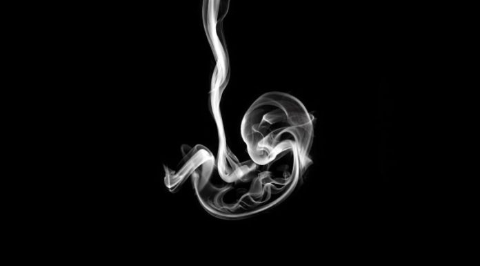 Test koji uvijek pogađa: Ono što prvo primijetite na slici otkriva kakvi ste zapravo