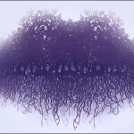 Šta ste prvo primijetili na slici? Vaš izbor može otkriti da li ste izraženi empat ili ste pod uticajem straha i stresa