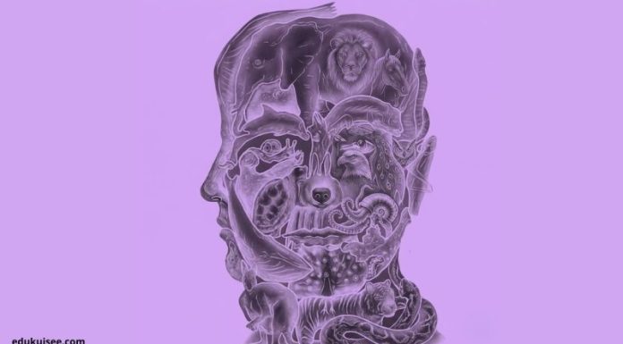 Životinja koju prvo primijetite može otkriti vašu najveću slabost i skrivenu manu karaktera.