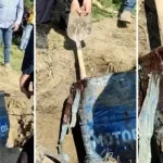 ŠOK DETALJ IZ ISTRAGE! Bokserice otkrile jezivu tajnu: Da li je u buretu pronađen Aleksandar Nešović?