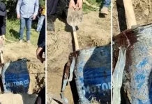 ŠOK DETALJ IZ ISTRAGE! Bokserice otkrile jezivu tajnu: Da li je u buretu pronađen Aleksandar Nešović?