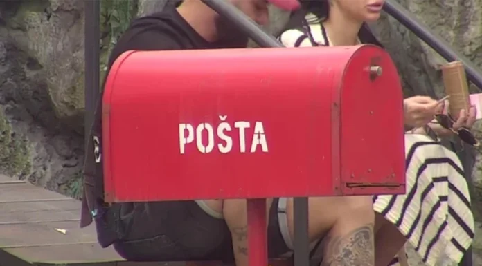 VELIKI ŠEF PRESUDIO! Osmoro takmičara ostalo bez para preko noći — razlog će sve iznenaditi!