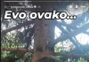 Kristijan ponovo promenio odluku: Oglasio se iz dvorišta pokojne prijateljice i poslao jasnu poruku