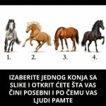 IZABERITE JEDNOG KONJA SA SLIKE I OTKRIJTE ŠTA VAS ČINI POSEBNIM I PO ČEMU VAS LJUDI PAMTE