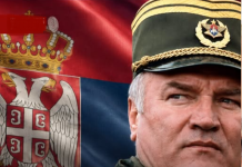 Darko Mladić: General je veoma slab, pitanje liječenja u Srbiji biće otvoreno pred Savjetom bezbjednosti UN-a