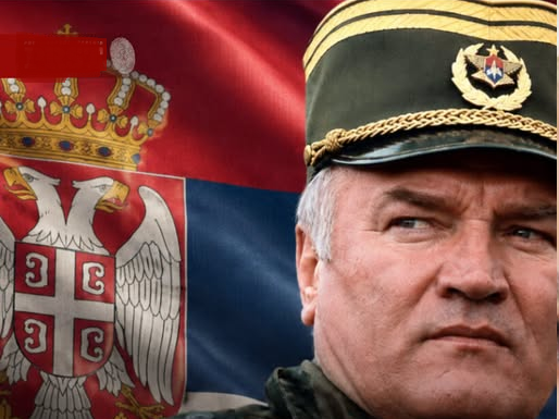 Darko Mladić: General je veoma slab, pitanje liječenja u Srbiji biće otvoreno pred Savjetom bezbjednosti UN-a